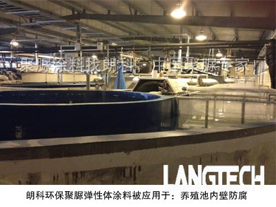 聚脲弹性体涂料,聚脲涂料,聚脲